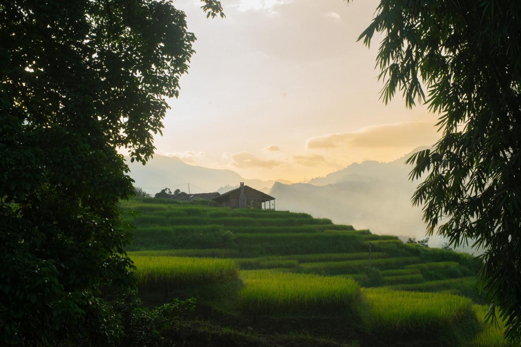 Homestay Desi House Tả - With Mountain View