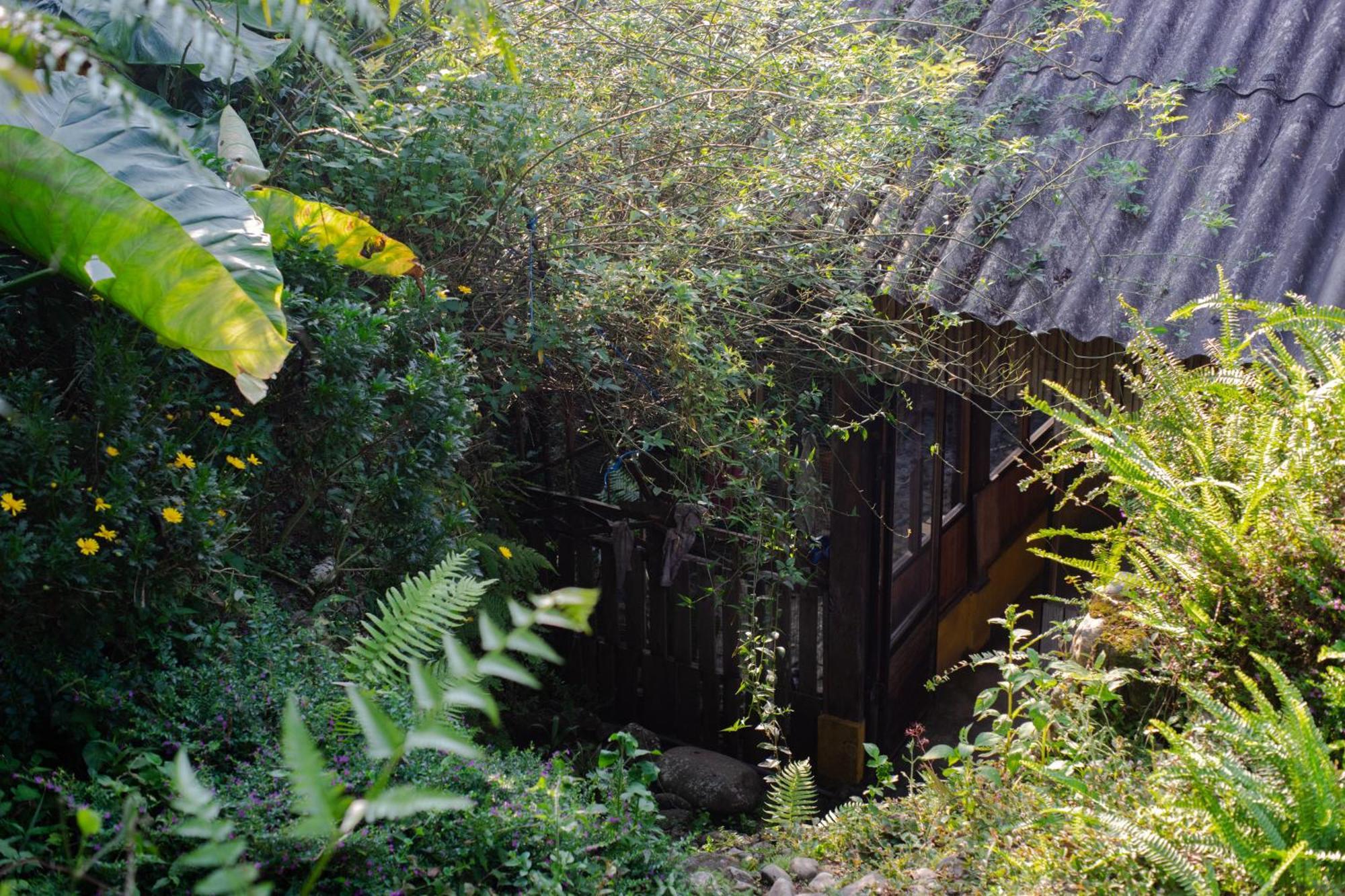 Homestay Desi House Tả - With Mountain View