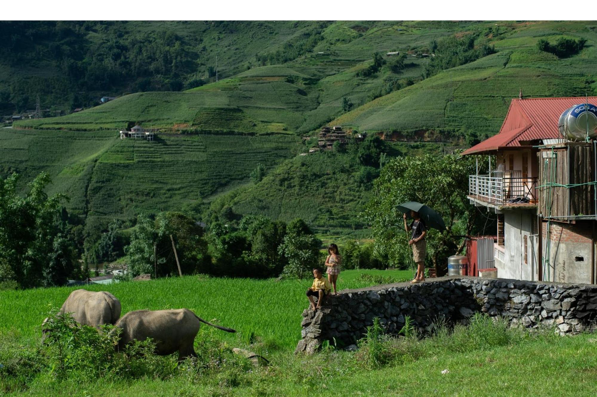 Homestay Desi House Tả - With Mountain View *